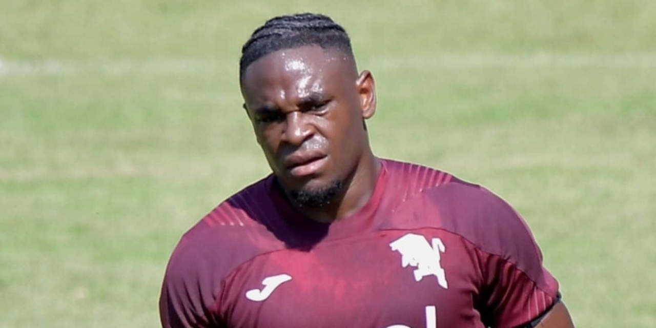 Zapata y Simeone: la dupla atacante del Torino funcionará.<br />
