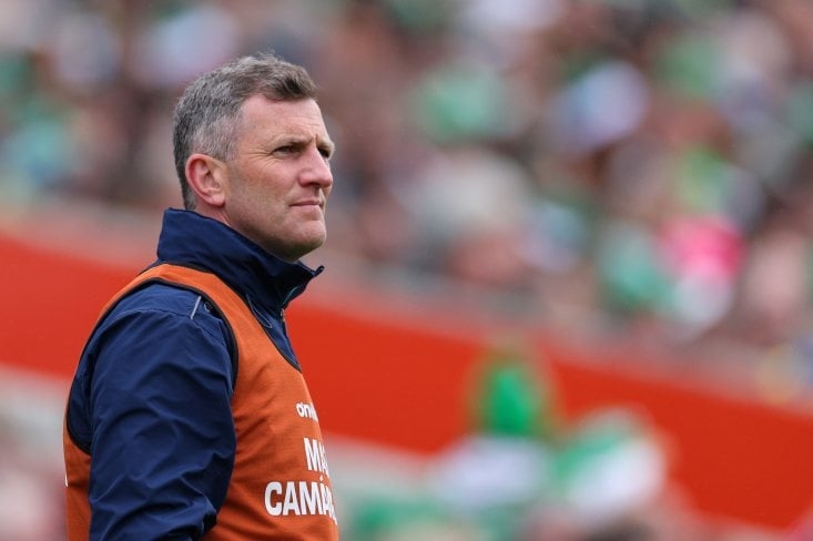 O'Grady leaves Limerick minor post
