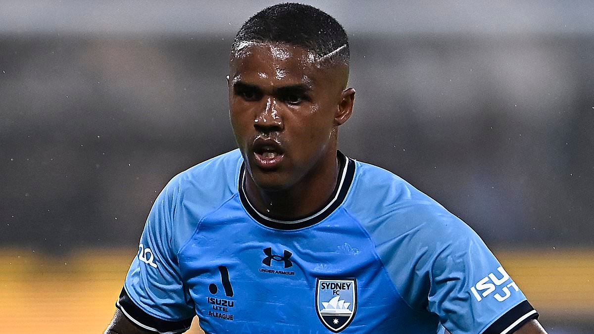 Una mamma calciatrice è stata criticata dopo aver pubblicamente chiamato in causa la stella del Sydney FC Douglas Costa per non aver PARLATO con suo figlio, nonostante il ragazzo avesse già ricevuto in regalo la maglia del brasiliano