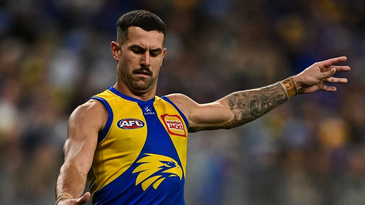 AFL star Jack Graham hit with four-match ban for 'highly offensive' anti-gay slur