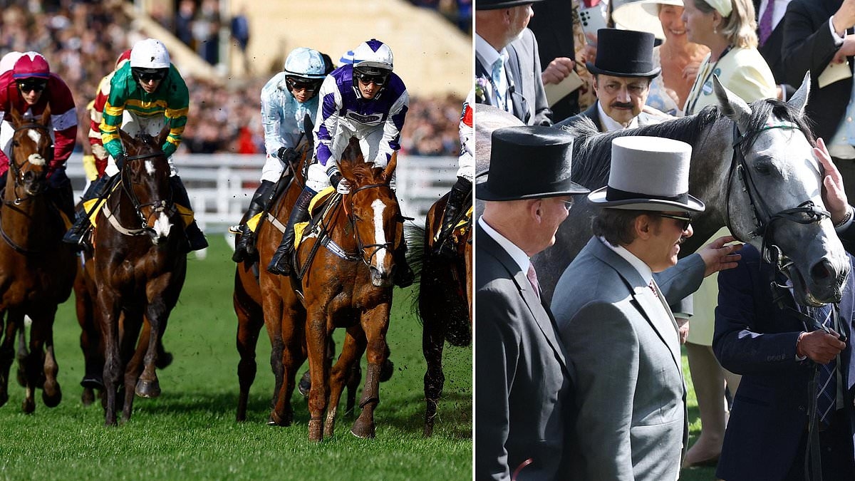 CALUM McCLURKIN: Time has run out for this sport to run away from its problems… D-Day has arrived