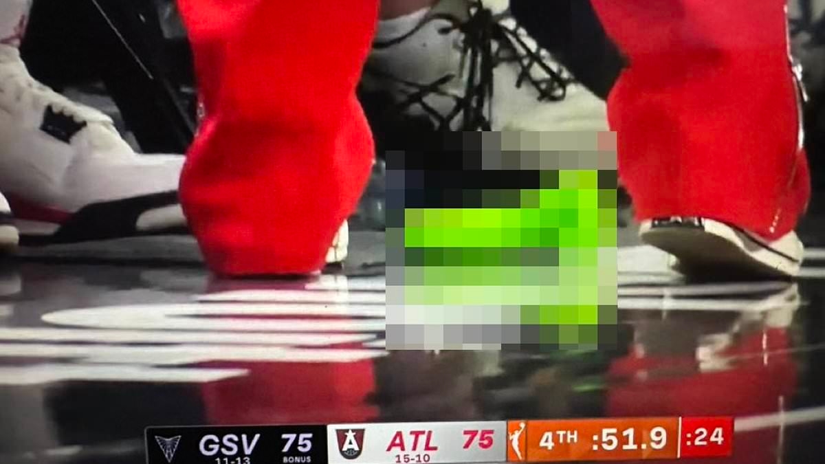 Identidade de fã da WNBA que atirou brinquedos sexuais é revelada enquanto aguarda data do julgamento por acusação de exposição indecente