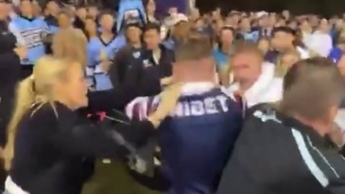 Fists fly in wild brawl between NRL rival supporters at Sharks vs Roosters