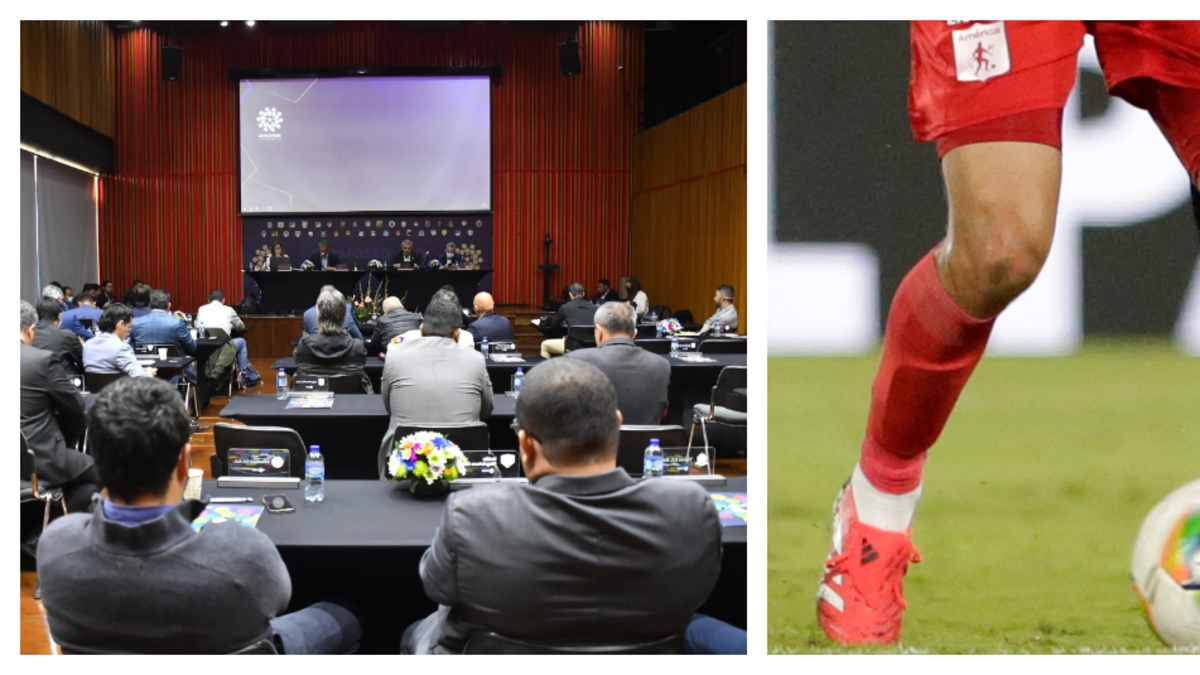 Менеджеры против футболистов: политическая и трудовая борьба в колумбийском футболе... (Мелюк расскажет вам об этом)