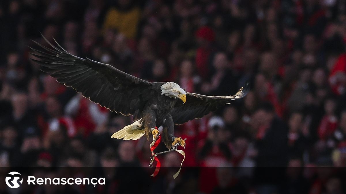 Benfica üyeleri 8 Mart'ta Tüzük değişiklikleri için oy kullanacak