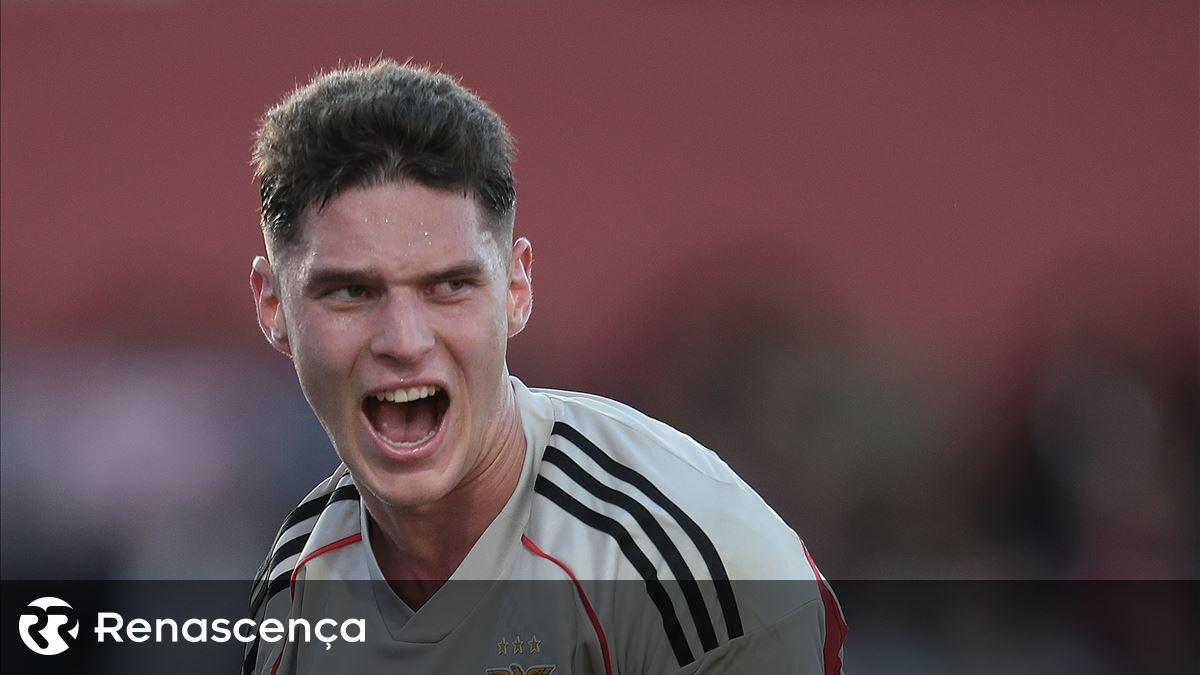 Sonuçta Sudakov ve Lukebakio, Benfica-Rio Ave'de oynayabilir.