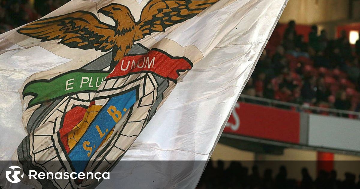 Benfica SAD returns to positive financial results