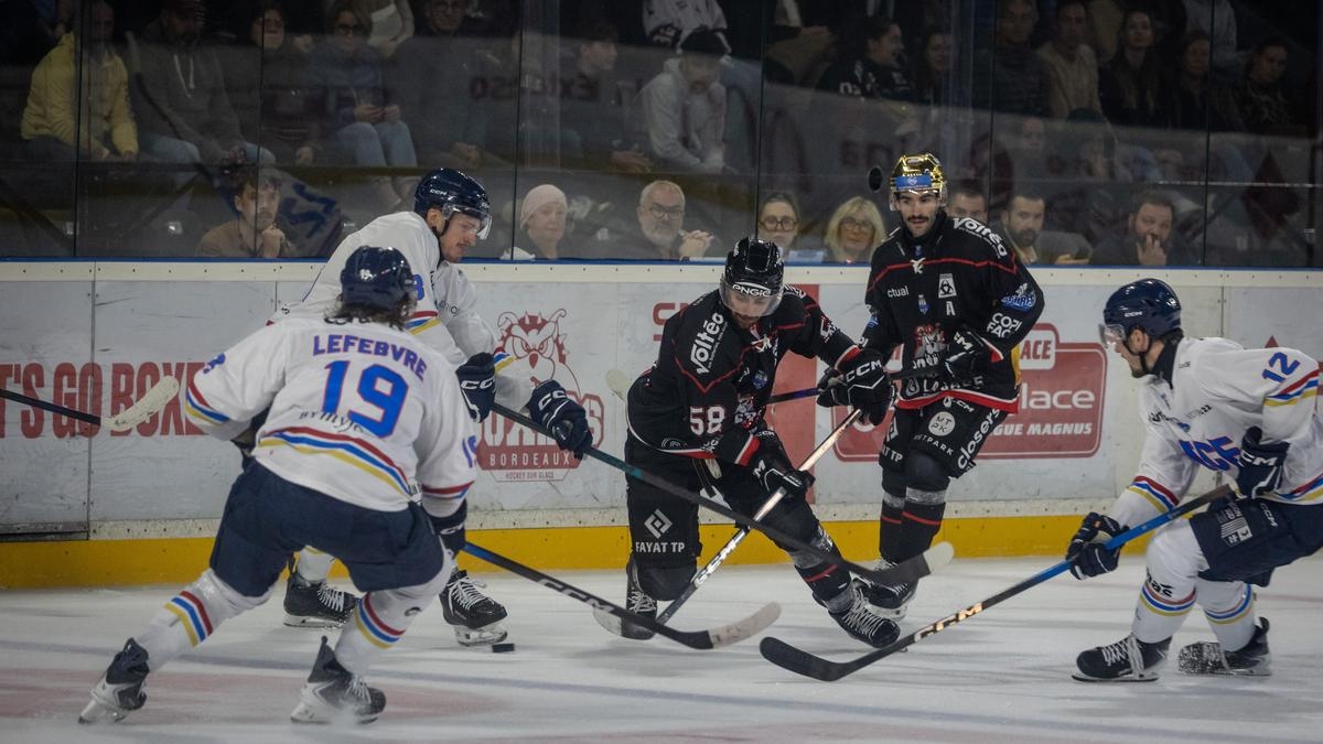 Hockey (Franse beker): De Boxers reizen naar Clermont om vertrouwen te winnen