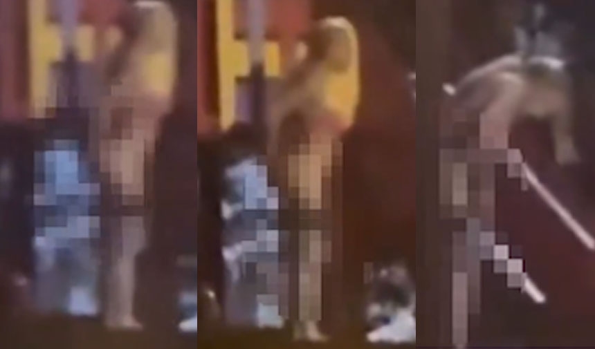 Fue al baño en el patio de juegos de los niños.
