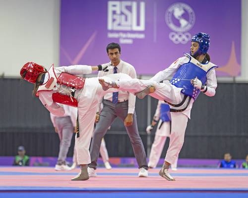 Meksika, Junior Panamerikan Oyunları'nda 11 altın madalya kazandı