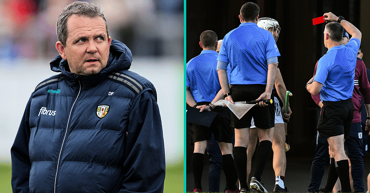 Davy Fitzgerald Calls On GAA To Make Seismic Changes To Sideline And Referee Rules