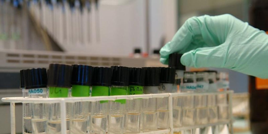 A luta contra o doping é revitalizada com o uso do passaporte biológico.