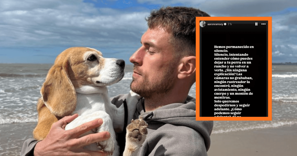 Aaron Ramsey denies that Sofía Niño de Rivera had anything to do with Halo's disappearance.